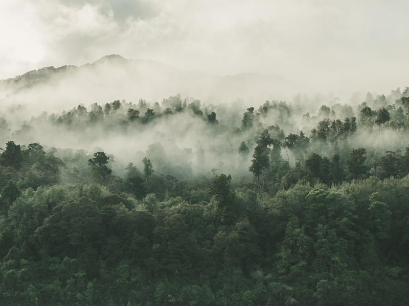 ما هو التغليف القابل للتحلل؟كيف يعمل، التعريف، والفوائد