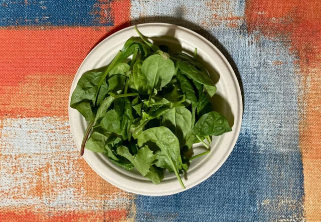 P008 أطباق الحفلات المستديرة القابلة للتحلل