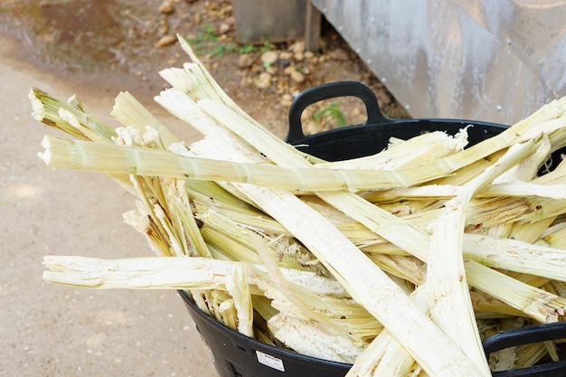 بقايا-قصب-السكر-التي-تم-عصرها_35691-1421